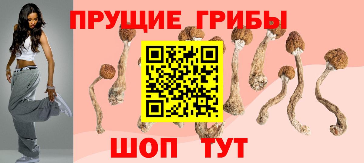 Псилоцибиновые грибы Psilocybe  Вход с VPN  Реутов 