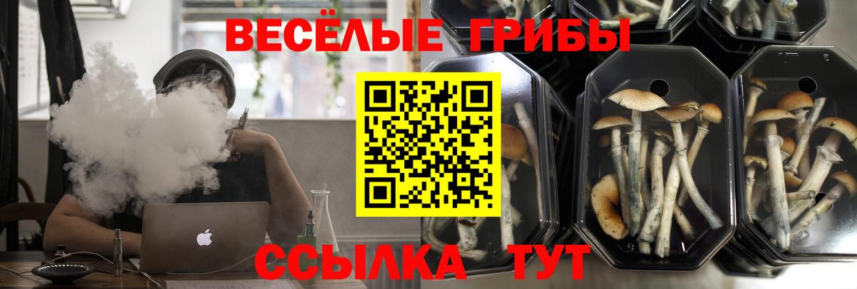 Псилоцибиновые грибы прущие грибы Реутов